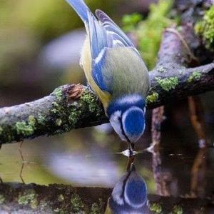 Meet your Posher, Becki